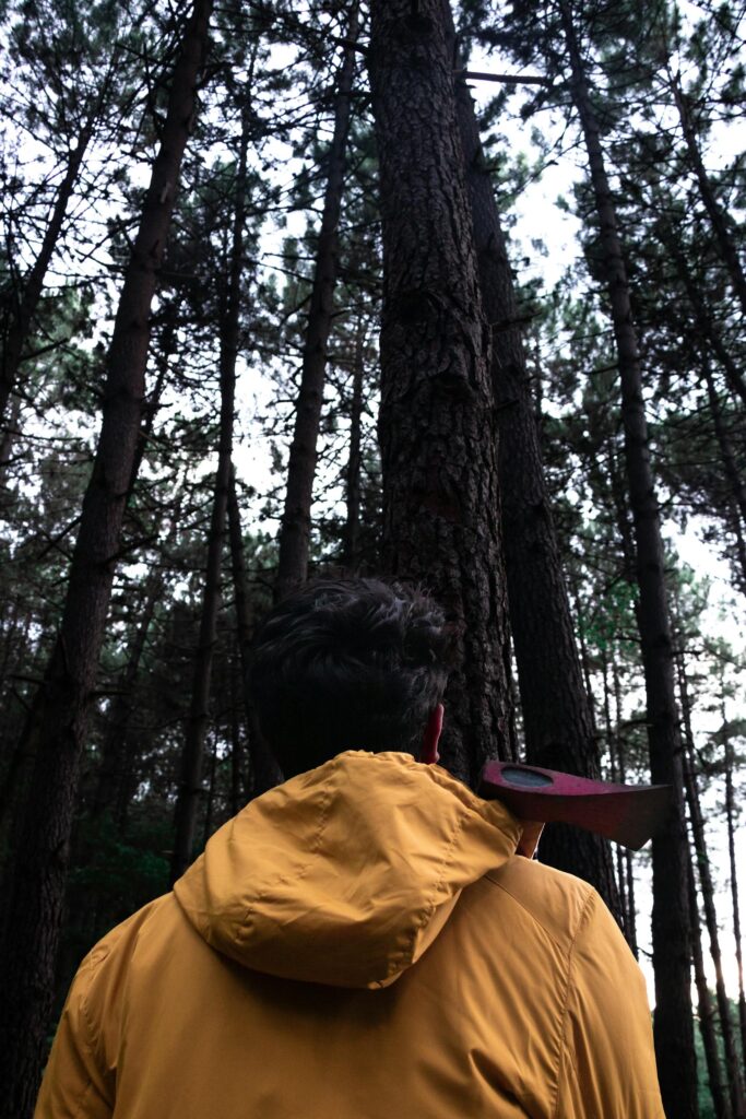 Keltaiseen takkiin pukeutunut metsuri seisoo metsässä.