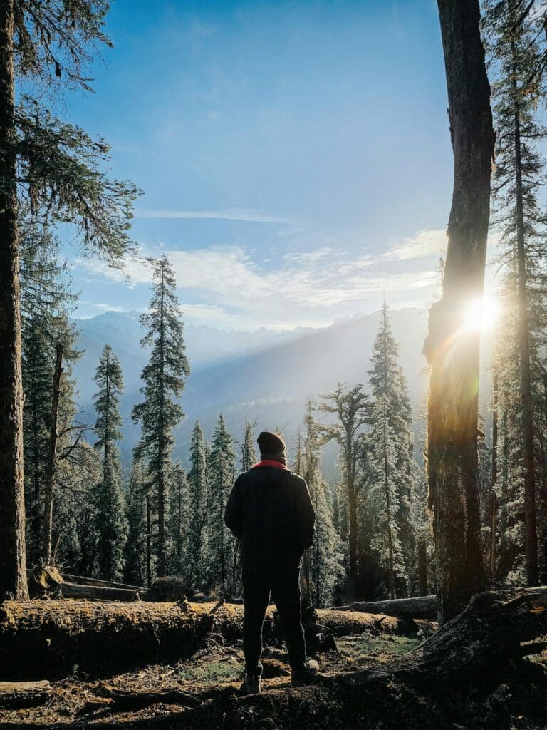 Mies katsoo kohti auringonnousua syksyisessä metsässä